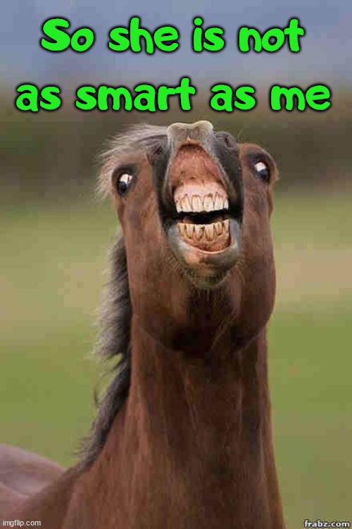 horse face | So she is not as smart as me | image tagged in horse face | made w/ Imgflip meme maker