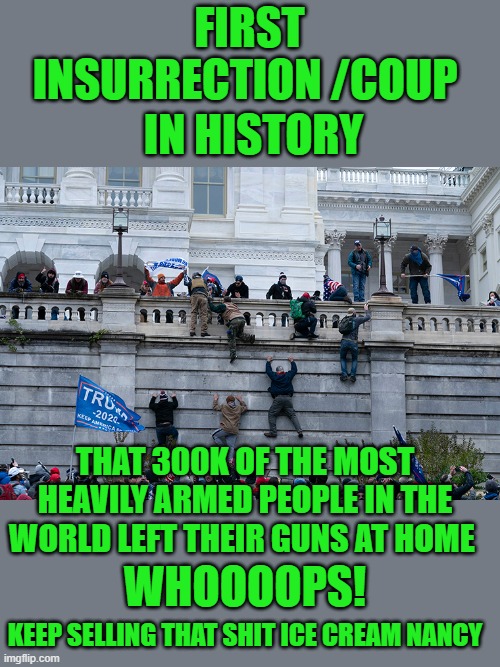 yep | FIRST INSURRECTION /COUP; IN HISTORY; THAT 300K OF THE MOST HEAVILY ARMED PEOPLE IN THE WORLD LEFT THEIR GUNS AT HOME; WHOOOOPS! KEEP SELLING THAT SHIT ICE CREAM NANCY | image tagged in democrats,lies | made w/ Imgflip meme maker