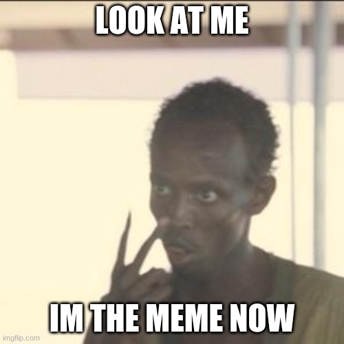 IM THE MEME NOW! | LOOK AT ME; IM THE MEME NOW | image tagged in memes,look at me | made w/ Imgflip meme maker