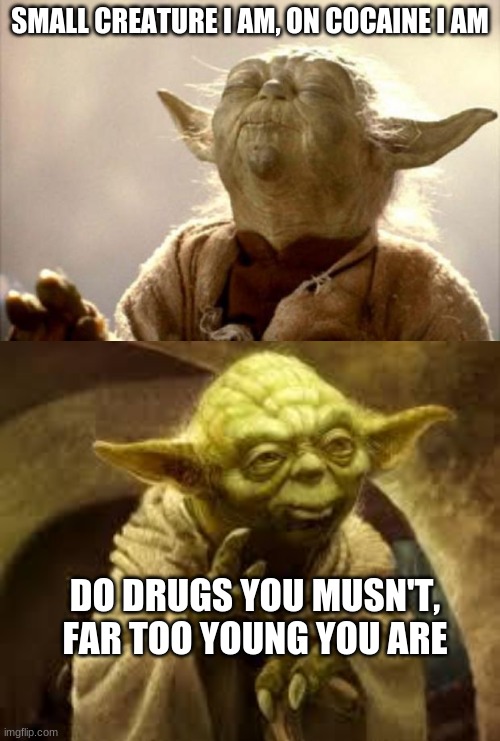 SMALL CREATURE I AM, ON COCAINE I AM; DO DRUGS YOU MUSN'T, FAR TOO YOUNG YOU ARE | image tagged in yoda smell,yoda | made w/ Imgflip meme maker