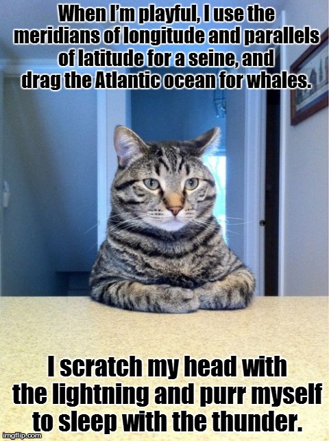 Take A Seat Cat Meme | When Iâ€™m playful, I use the meridians of longitude and parallels of latitude for a seine, and drag the Atlantic ocean for whales.  I scrat | image tagged in memes,take a seat cat | made w/ Imgflip meme maker