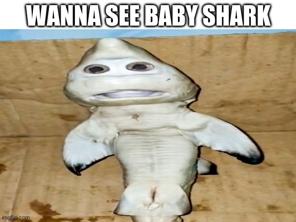 our nightmares are made of this | WANNA SEE BABY SHARK | image tagged in baby shark | made w/ Imgflip meme maker