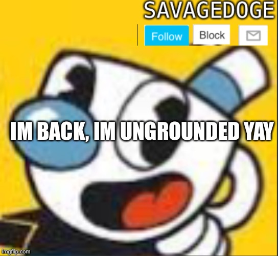 Yay | IM BACK, IM UNGROUNDED YAY | image tagged in savagedoge s template 1 | made w/ Imgflip meme maker