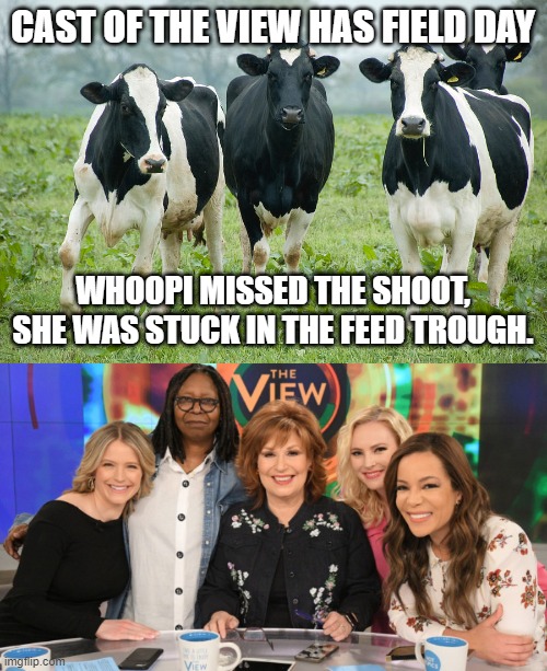 Cast of the view has a field day! | CAST OF THE VIEW HAS FIELD DAY; WHOOPI MISSED THE SHOOT, SHE WAS STUCK IN THE FEED TROUGH. | image tagged in the view | made w/ Imgflip meme maker