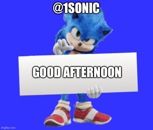movie sonic says | @1SONIC; GOOD AFTERNOON | image tagged in movie sonic says | made w/ Imgflip meme maker