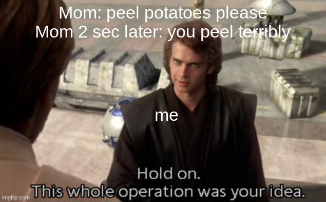 Relatable anyone? | Mom: peel potatoes please
Mom 2 sec later: you peel terribly; me | image tagged in hold on this whole operation was your idea | made w/ Imgflip meme maker