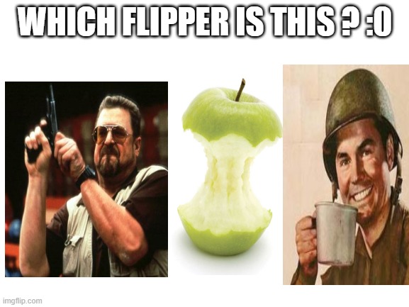 riddly diddly | WHICH FLIPPER IS THIS ? :0 | image tagged in blank white template | made w/ Imgflip meme maker