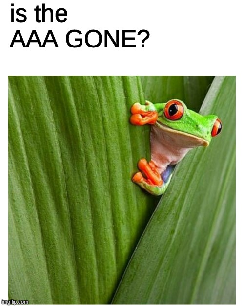 tell me yes so i can relax | is the AAA GONE? | image tagged in frog peeking out from leaf | made w/ Imgflip meme maker