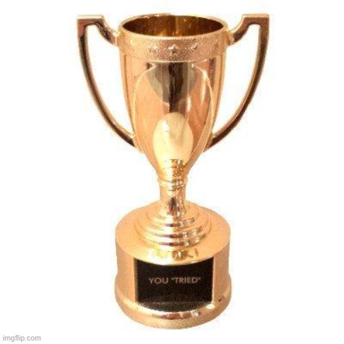 Participation trophy | image tagged in participation trophy | made w/ Imgflip meme maker
