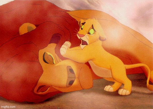 Mufasa Death | image tagged in mufasa death | made w/ Imgflip meme maker