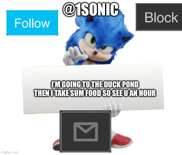 movie sonic says | @1SONIC; I’M GOING TO THE DUCK POND THEN I TAKE SUM FOOD SO SEE U AN HOUR | image tagged in movie sonic says | made w/ Imgflip meme maker