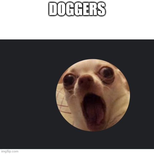doggers | DOGGERS | image tagged in poggers | made w/ Imgflip meme maker