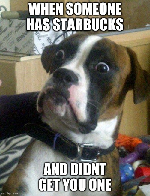 Blankie the Shocked Dog | WHEN SOMEONE HAS STARBUCKS; AND DIDNT GET YOU ONE | image tagged in blankie the shocked dog | made w/ Imgflip meme maker