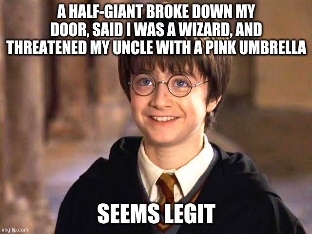 Harry Potter smiling | A HALF-GIANT BROKE DOWN MY DOOR, SAID I WAS A WIZARD, AND THREATENED MY UNCLE WITH A PINK UMBRELLA; SEEMS LEGIT | image tagged in harry potter smiling | made w/ Imgflip meme maker