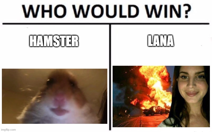 Hamsters gonnna win ngl | LANA; HAMSTER | image tagged in memes,who would win,hamster,lana del rey,tik tok,fight | made w/ Imgflip meme maker