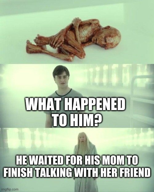 Dead Baby Voldemort / What Happened To Him | WHAT HAPPENED  TO HIM? HE WAITED FOR HIS MOM TO FINISH TALKING WITH HER FRIEND | image tagged in dead baby voldemort / what happened to him | made w/ Imgflip meme maker