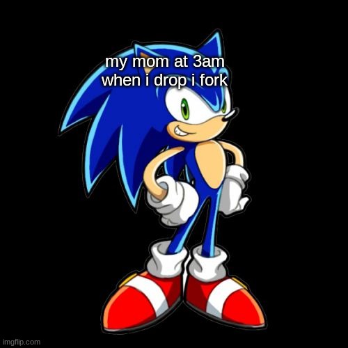 You're Too Slow Sonic Meme | my mom at 3am when i drop i fork | image tagged in memes,you're too slow sonic | made w/ Imgflip meme maker