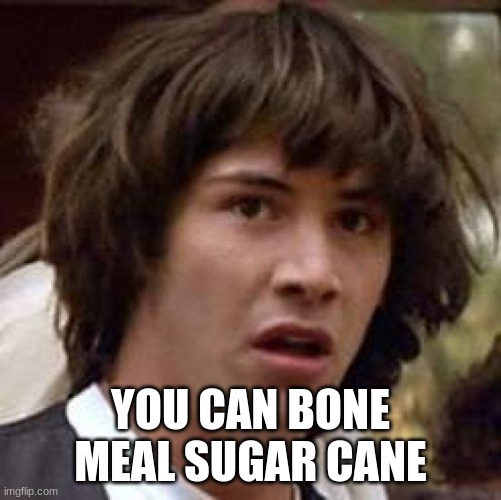 Conspiracy Keanu Meme | YOU CAN BONE MEAL SUGAR CANE | image tagged in memes,conspiracy keanu | made w/ Imgflip meme maker