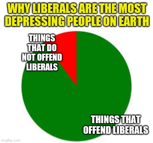 Yes, liberalism is a mental disorder. | WHY LIBERALS ARE THE MOST DEPRESSING PEOPLE ON EARTH; THINGS THAT DO NOT OFFEND LIBERALS; THINGS THAT OFFEND LIBERALS | image tagged in pie chart,liberal logic | made w/ Imgflip meme maker