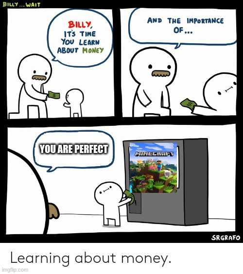 Billy Learning About Money | YOU ARE PERFECT | image tagged in billy learning about money | made w/ Imgflip meme maker