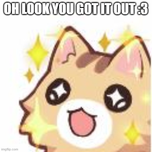 Omggggg kitty | OH LOOK YOU GOT IT OUT :3 | image tagged in omggggg kitty | made w/ Imgflip meme maker