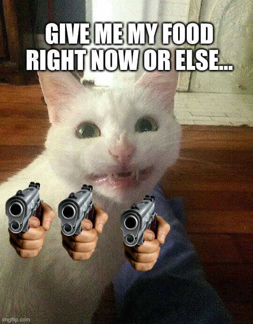 cat mad | GIVE ME MY FOOD RIGHT NOW OR ELSE... | image tagged in cat mad | made w/ Imgflip meme maker