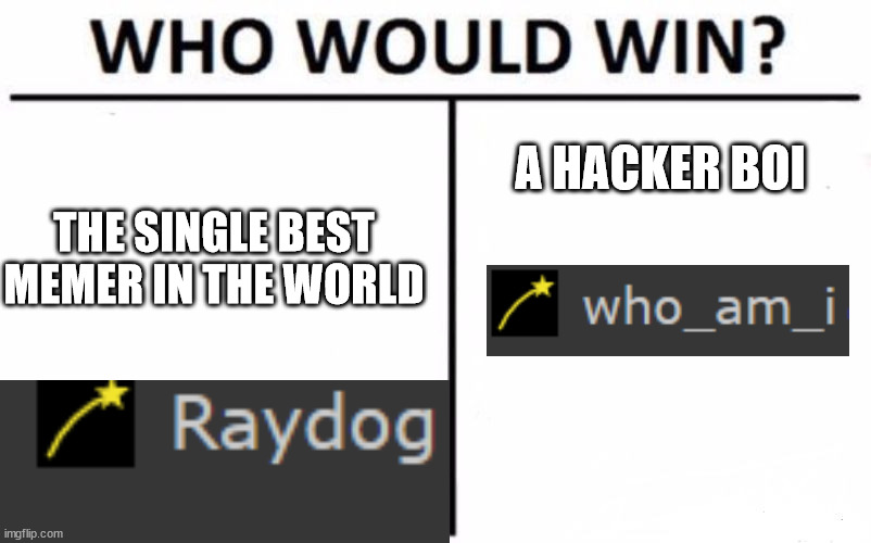 bruh hacker | A HACKER BOI; THE SINGLE BEST MEMER IN THE WORLD | image tagged in hackers,raydog | made w/ Imgflip meme maker