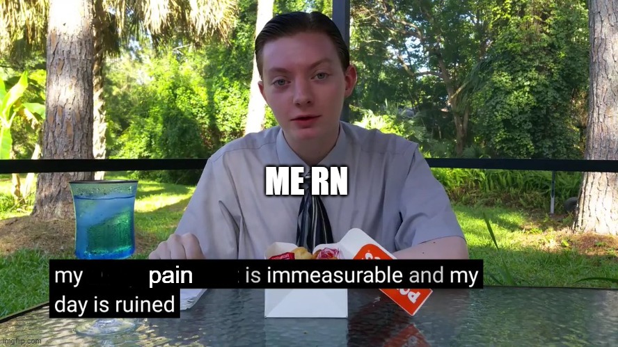 My Disappointment Is Immeasurable | ME RN; pain | image tagged in my disappointment is immeasurable | made w/ Imgflip meme maker