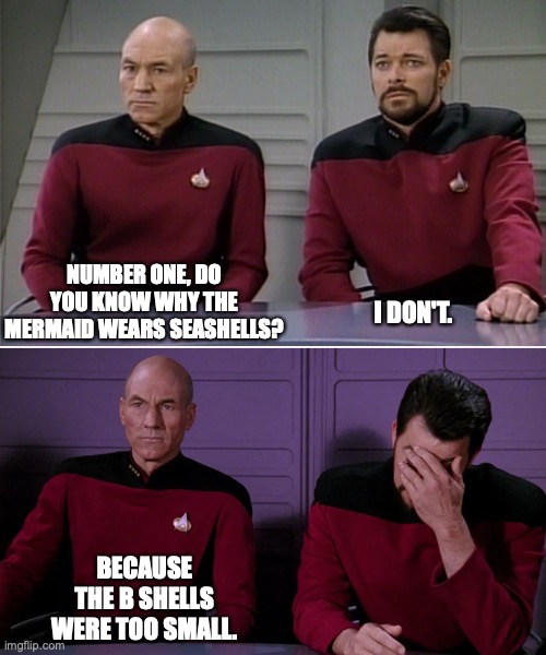 Picard Riker listening to a pun | NUMBER ONE, DO YOU KNOW WHY THE MERMAID WEARS SEASHELLS? I DON'T. BECAUSE THE B SHELLS WERE TOO SMALL. | image tagged in picard riker listening to a pun | made w/ Imgflip meme maker