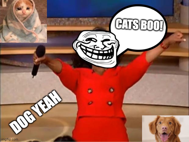 Animal lover | CATS BOO! DOG YEAH | image tagged in memes,oprah you get a | made w/ Imgflip meme maker