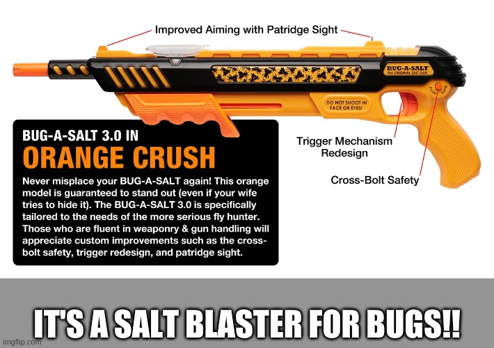 what would happen if you shot a human with that?!? | IT'S A SALT BLASTER FOR BUGS!! | image tagged in salt,blaster | made w/ Imgflip meme maker