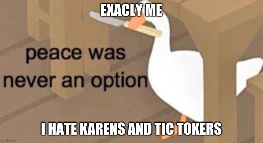 Untitled Goose Peace Was Never an Option | EXACLY ME I HATE KARENS AND TIC TOKERS | image tagged in untitled goose peace was never an option | made w/ Imgflip meme maker