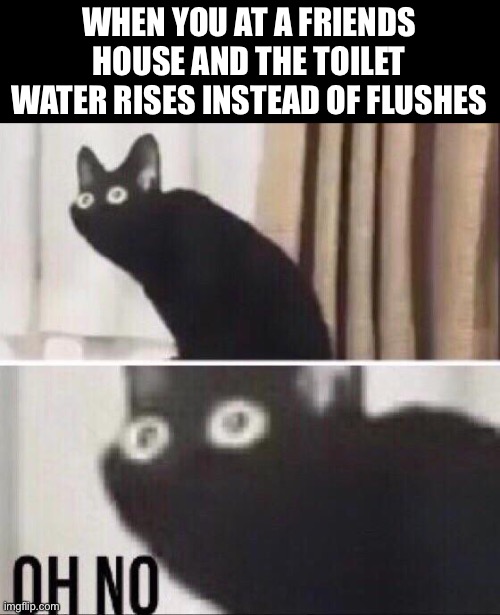 Oh no cat | WHEN YOU AT A FRIENDS HOUSE AND THE TOILET WATER RISES INSTEAD OF FLUSHES | image tagged in oh no cat | made w/ Imgflip meme maker