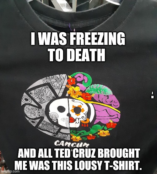 I WAS FREEZING TO DEATH; J M; AND ALL TED CRUZ BROUGHT ME WAS THIS LOUSY T-SHIRT. | image tagged in ted cruz | made w/ Imgflip meme maker