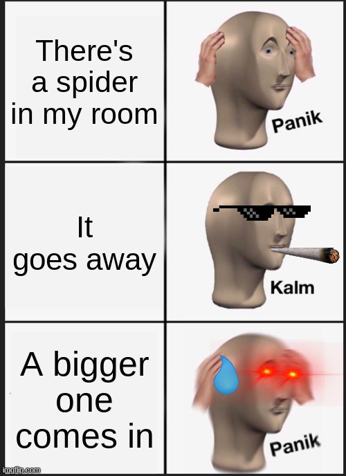 Why spiders | There's a spider in my room; It goes away; A bigger one comes in | image tagged in memes,panik kalm panik | made w/ Imgflip meme maker