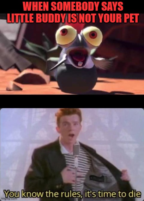Little Buddy Forever! | WHEN SOMEBODY SAYS LITTLE BUDDY IS NOT YOUR PET | image tagged in you know the rules it's time to die,splatoon,rick astley,rickroll,video games | made w/ Imgflip meme maker