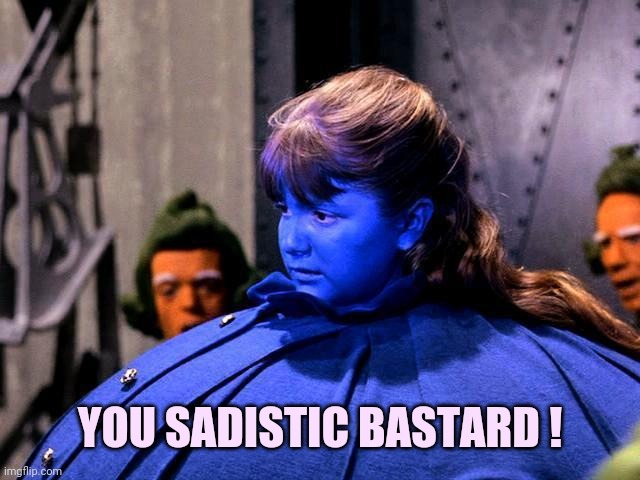 blueberry girl | YOU SADISTIC BASTARD ! | image tagged in blueberry girl | made w/ Imgflip meme maker