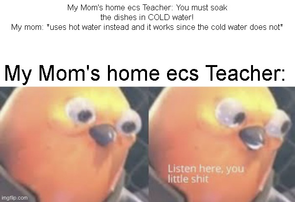 My Mom vs. Her Home Economics Teacher | My Mom's home ecs Teacher: You must soak the dishes in COLD water!
My mom: *uses hot water instead and it works since the cold water does not*; My Mom's home ecs Teacher: | image tagged in listen here you little shit bird | made w/ Imgflip meme maker