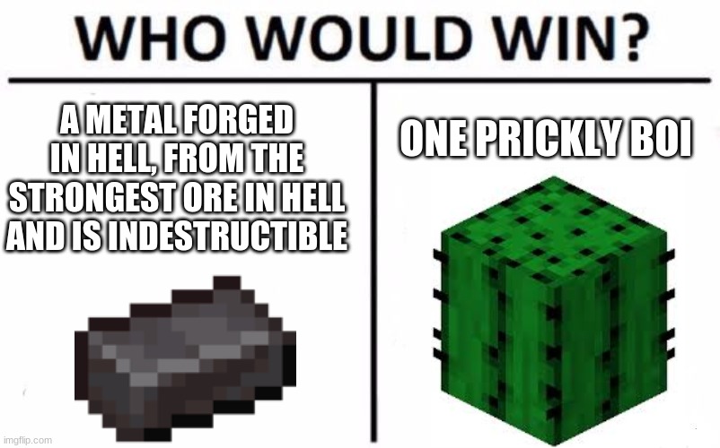 why, just why? | A METAL FORGED IN HELL, FROM THE STRONGEST ORE IN HELL AND IS INDESTRUCTIBLE; ONE PRICKLY BOI | image tagged in memes,who would win | made w/ Imgflip meme maker