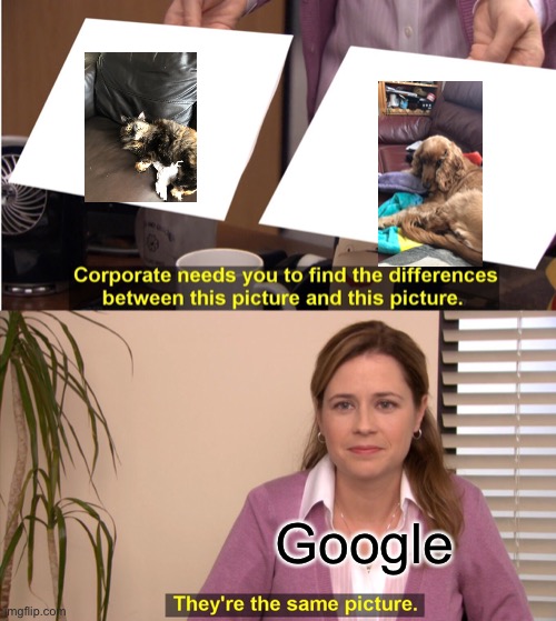They're The Same Picture Meme | Google | image tagged in memes,they're the same picture | made w/ Imgflip meme maker
