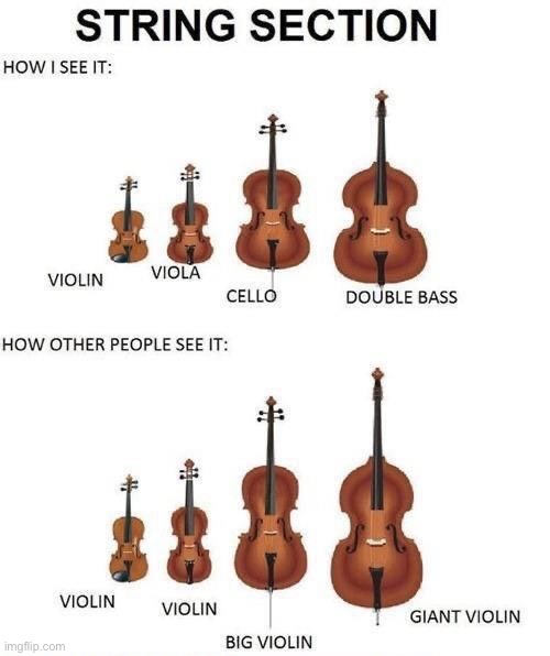 Why???? | image tagged in instruments,string section,violin | made w/ Imgflip meme maker