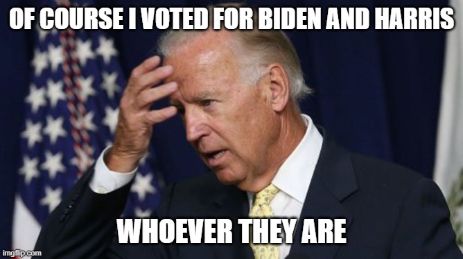 Confounded-in-chief | OF COURSE I VOTED FOR BIDEN AND HARRIS; WHOEVER THEY ARE | image tagged in joe biden worries,biden,harris | made w/ Imgflip meme maker