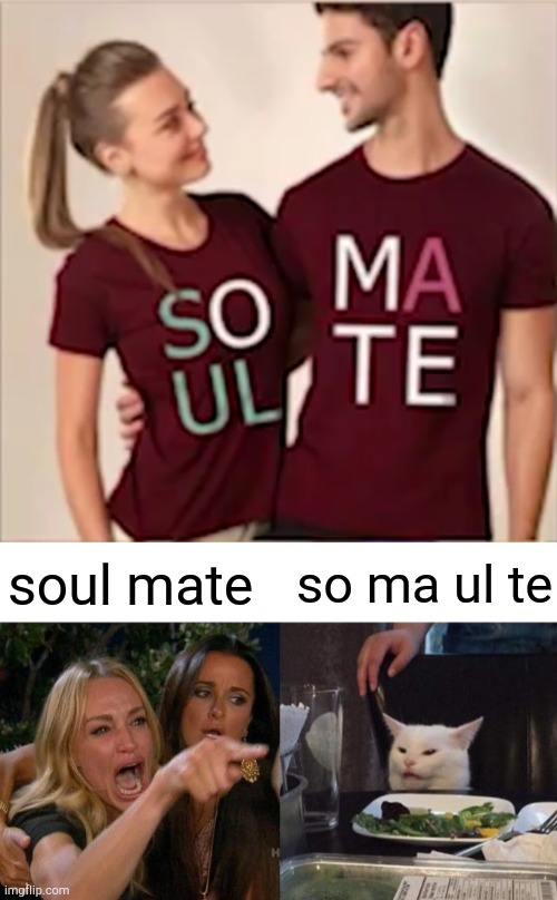 soul mate or so ma ul te? | so ma ul te; soul mate | image tagged in memes,woman yelling at cat,soul | made w/ Imgflip meme maker