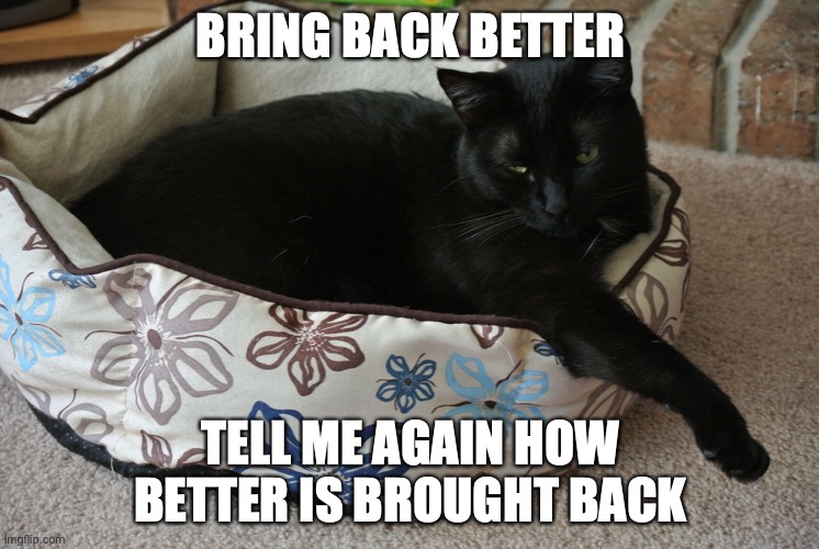 Cat, tell me again | BRING BACK BETTER; TELL ME AGAIN HOW BETTER IS BROUGHT BACK | image tagged in cat tell me again | made w/ Imgflip meme maker