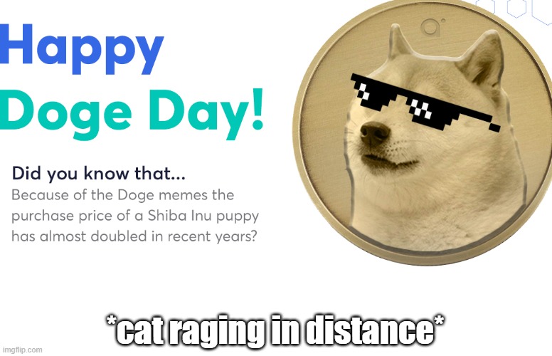 wut | *cat raging in distance* | image tagged in doge,cat | made w/ Imgflip meme maker