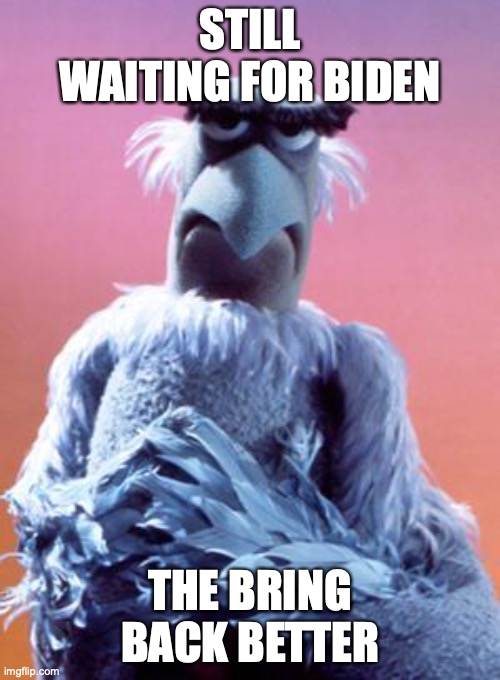 Sam The Eagle | STILL WAITING FOR BIDEN; THE BRING BACK BETTER | image tagged in sam the eagle | made w/ Imgflip meme maker