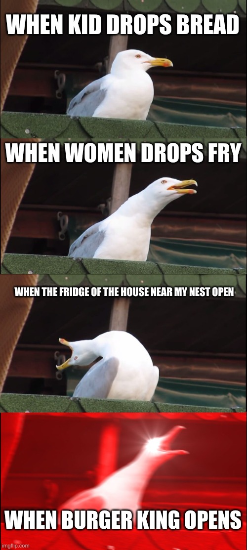 Inhaling Seagull | WHEN KID DROPS BREAD; WHEN WOMEN DROPS FRY; WHEN THE FRIDGE OF THE HOUSE NEAR MY NEST OPEN; WHEN BURGER KING OPENS | image tagged in memes,inhaling seagull | made w/ Imgflip meme maker