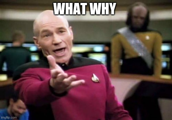 Picard Wtf Meme | WHAT WHY | image tagged in memes,picard wtf | made w/ Imgflip meme maker