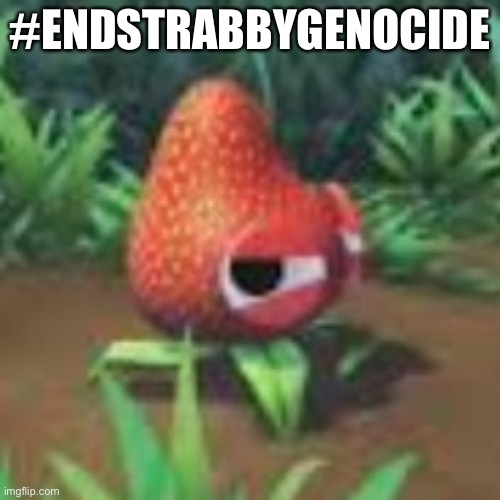 #ENDSTRABBYGENOCIDE | made w/ Imgflip meme maker