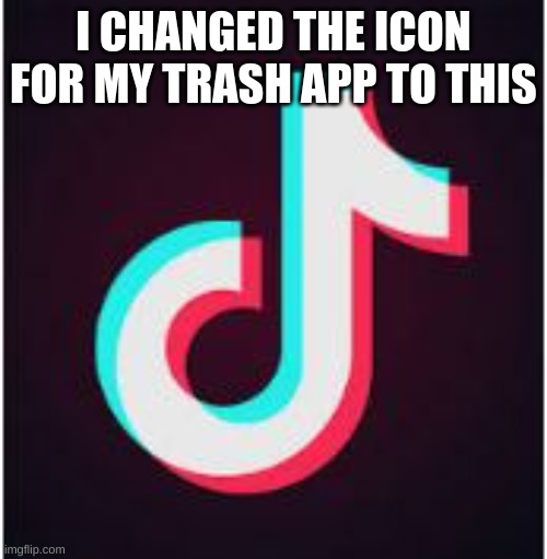 fits perfectly | I CHANGED THE ICON FOR MY TRASH APP TO THIS | image tagged in tik tok | made w/ Imgflip meme maker